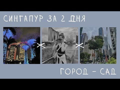 Видео: СИНГАПУР | Летим на остров мечты с пересадкой в Сингапуре в 2 дня. Правила въезда и вайб города.