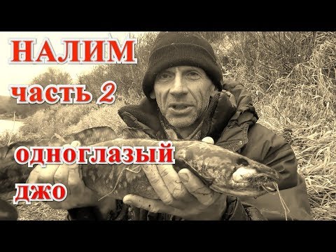 Видео: Ловля НАЛИМА на ОКЕ. Осенняя рыбалка 2019.