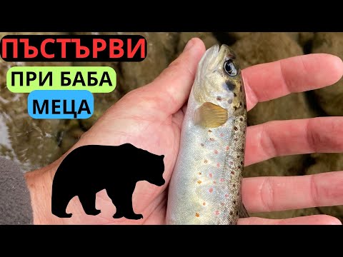 Видео: ЗАКРИВАНЕ ПРИ БАБА МЕЦА