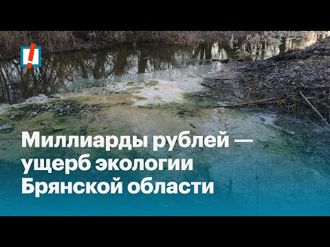 Видео: Беззаконие в Брянской области на примере реки Судость
