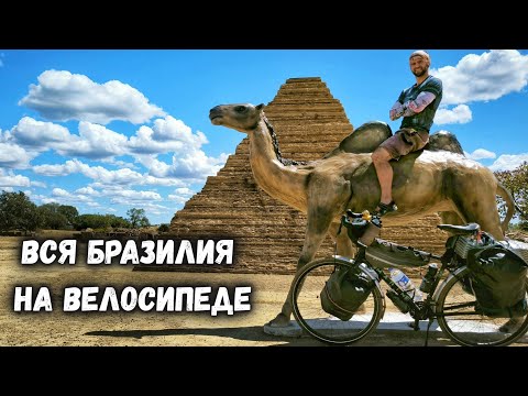 Видео: Из саванны к Амазонии. ✓2