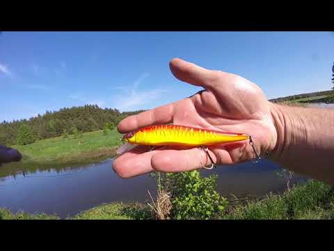 Видео: Как ловит воблер Megabass Vision One ten 110