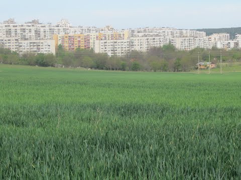 Видео: Плевен. Пролетна разходка из любимия град /част 78/.