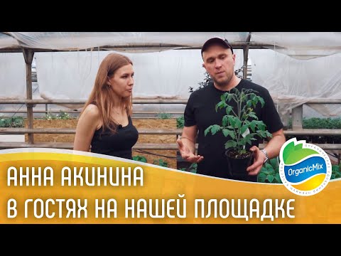 Видео: Испытание удобрений Органик Микс - секреты органического земледелия