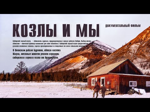 Видео: Козлы и мы