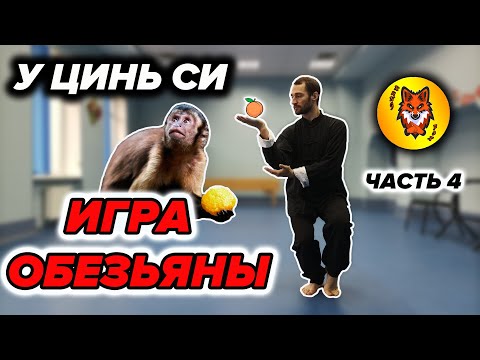 Видео: Комплекс Ци Гун "Игра 5 зверей". ОБЕЗЬЯНА