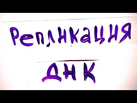 Видео: Репликация ДНК. Секрет бессмертия. Биохимия