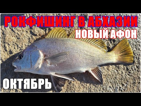 Видео: Рокфишинг в Абхазии. Новый Афон. Октябрь