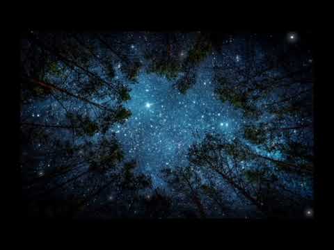 Видео: Варган в лесу и треск костра