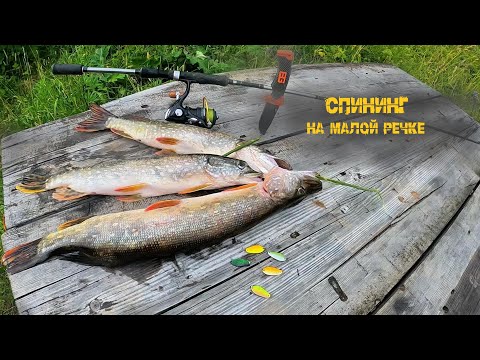 Видео: Рыбалка на малой речке практически в черте города, р.Ласьва