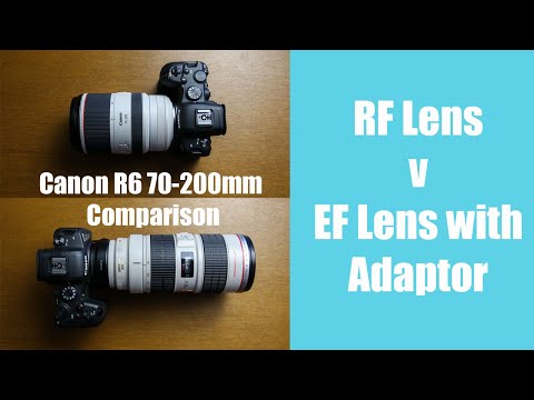 Видео: Canon R6 с адаптером объектива EF — работает ли он?