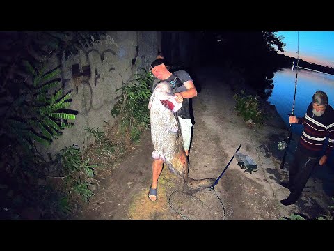 Видео: Сом 52кг. на Бабусині снасті !!! Дніпро найкраща Річка в світі !!!