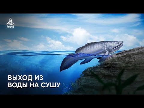 Видео: Как выходила жизнь из ВОДЫ на СУШУ?