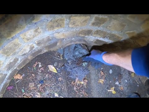 Видео: Kempinger 234. Созревает через 5 лет, пробку из закупоренного канала можно вытащить.