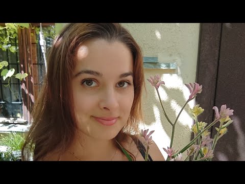 Видео: Анигозантос или Лапы Кенгуру (кенгуровая лапа). Пересадка купленных растений.