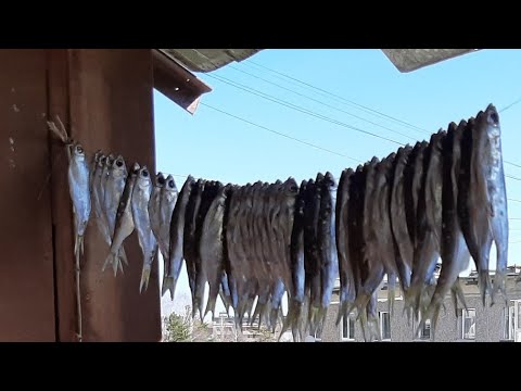 Видео: Как завялить уклейку? Самый лучший рецепт!!!