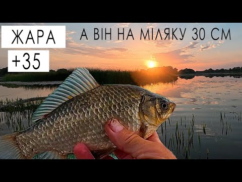 Видео: КАРАСЬ В ЖАРУ ЗАЛІЗ НА 35 СМ ГЛИБИНИ і клює ОДИН ЗА ОДНИМ.   Боковий ківок. /Always with Kruchkoff