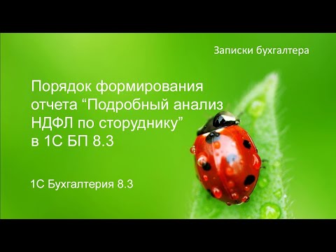 Видео: Отчет Подробный анализ НДФЛ в 1С БП 8.3 для анализа 6-НДФЛ