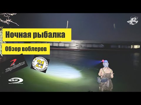 Видео: Обзор воблеров / Ночная рыбалка на Дону / Ловля судака или голавля ?