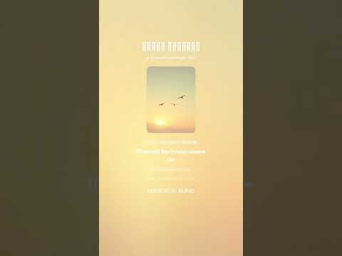 Видео: Птицы надежды