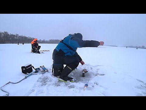 Видео: Зимняя рыбалка на Оке в январе 2025! СУДАКИ и ЛЕЩИ радуют поклёвками!