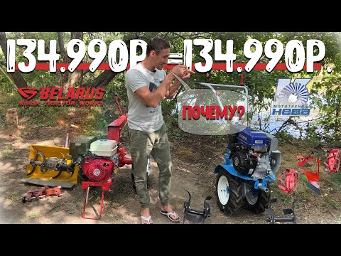 Видео: Нева или МТЗ? Какой мотоблок купить, ведь цена теперь одинаковая!!!