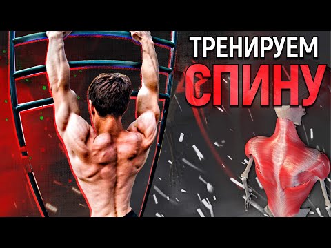 Видео: 3D ТРЕНИРОВКА СПИНЫ. 3 ЛУЧШИХ УПРАЖНЕНИЯ!