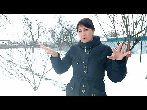 Видео: Слежу За Порядком..Вяжу Мамуле Жилет..Доня Вышивает...Готовлю Вкусняшку