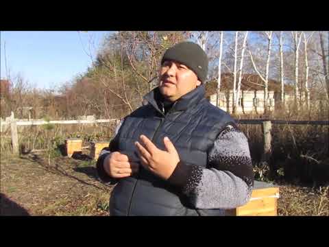 Видео: Итоги использования зелья для защиты ульев от влаги + рекламка по ульям.