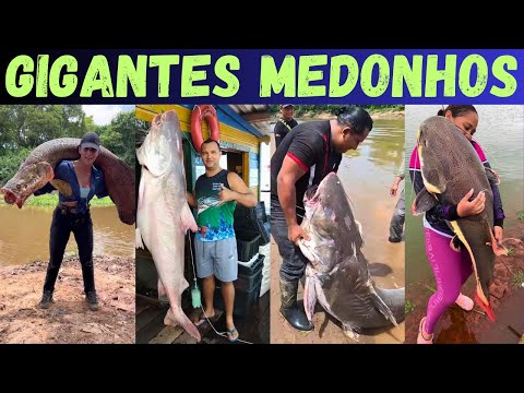 Видео: Rio Monsters: Гиганты, которые пугают рыбаков!