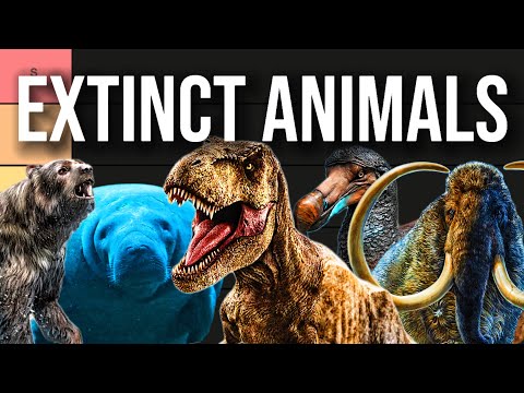 Видео: Стоит ли возвращать эти вымершие виды? (Список уровней)