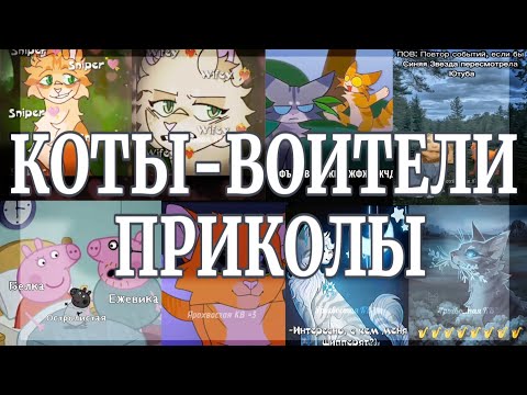 Видео: ‼️не озвучка ‼️ КОТЫ-ВОИТЕЛИ: ПРИКОЛЫ, СОЗДАННЫЕ МНОЙ // СБОРНИК #приколы #кв #подпишись