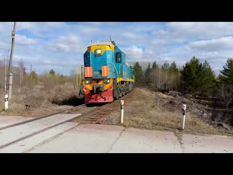 Видео: Синий ТЭМ18ДМ-3270/ Зеленый ТЭМ2УМ-1018 С небольшим грузовым