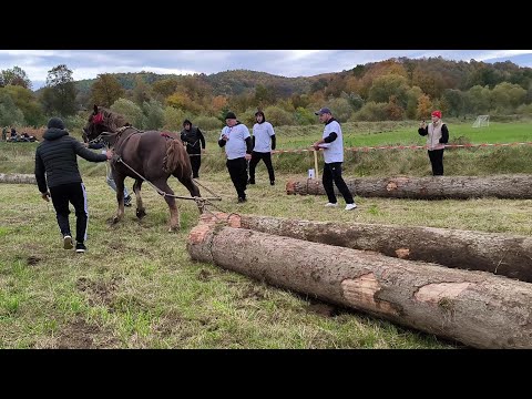 Видео: СИЛА КОНЕЙ ПРИКАРПАТТЯ/КІННІ ЗМАГАННЯ В СЕЛІ ПІСТИНЬ/ПЕРША ЧАСТИНА 