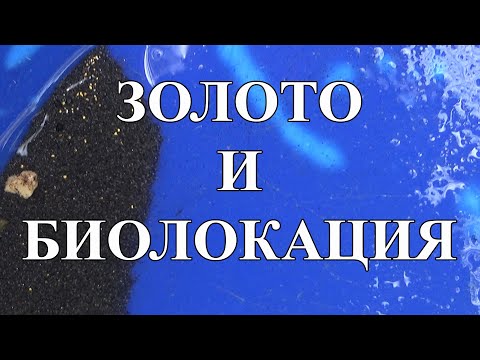 Видео: Поиск золота, проба метода биолокации.