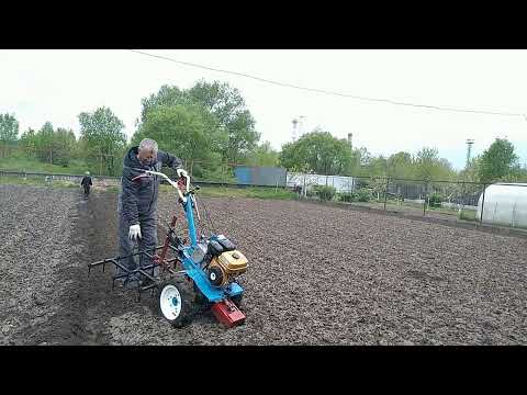 Видео: С мотоблоком сажаем сидераты