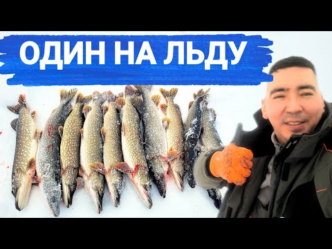 Видео: ОДИН НА ЛЬДУ! УСТАЛ ОТ ТАКОГО КЛЁВА! ЩУКА СОШЛА С УМА!