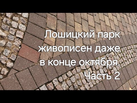 Видео: 12. Лошицкий парк Минск. Продолжение прогулки, внезапно прерванной (см. Часть 1). Конец октября 2025