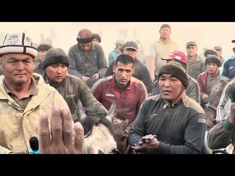 Видео: Базар Коргон Аламан Улак 2 ноября 2025 г.