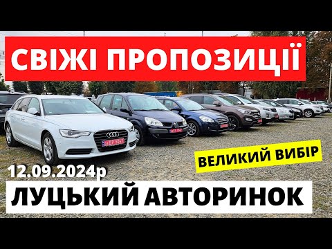 Видео: ЩО з ЦІНАМИ на ЛУЦЬКОМУ АВТОРИНКУ // 12.09.2024р #автобазар  #автопідбір #автопідбірлуцьк