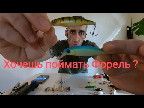 Видео: ТОП воблеров для ФОРЕЛИ и ГОЛАВЛЯ. Рыбалка в Германии и Франции, что это такое!