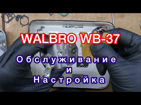 Видео: Vittorazi Moster 185: обслуживание карбюратора и воздушного фильтра