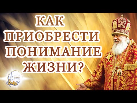 Видео: Как приобрести понимание жизни?