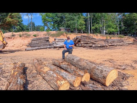 Видео: Распиловка прекрасных дубовых досок с живой кромкой!