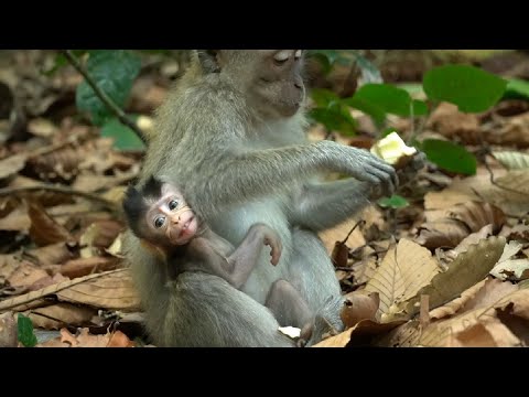 Видео: Этот подросток похитил ребенка у его матери?