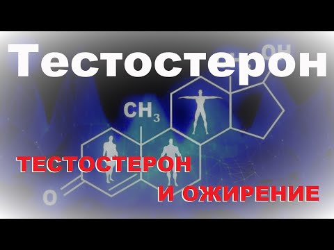 Видео: Тестостерон 5. Тестостерон и ожирение
