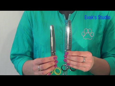 Видео: Факультатив! Это модное слово - Шанкеры! По следам онлайн трансляции: https://youtu.be/jZrgdeeMViE