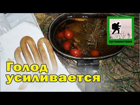 Видео: В одиночку по Брянским лесам, день 4.2