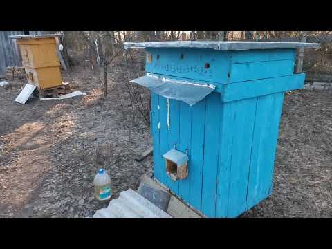 Видео: Обзор улья Цебро, и опыте работы с этими ульями))