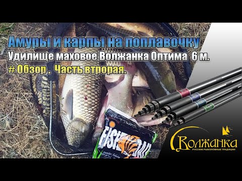 Видео: Ловля амуров и карпов на маховую удочку Волжанка Оптима удилище б/к 6.0м (6 секций) тест до 25гр